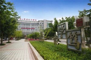 Meishan main gate