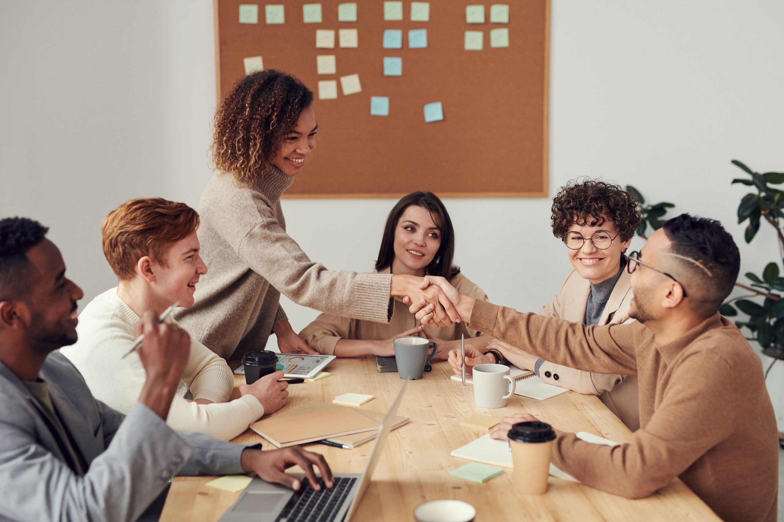 eSTEP institutional partnership portfolio for international education collaboration